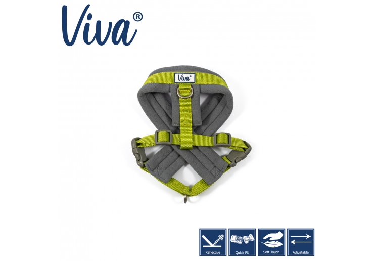 Viva Padded Harness Lime S 36-42cm