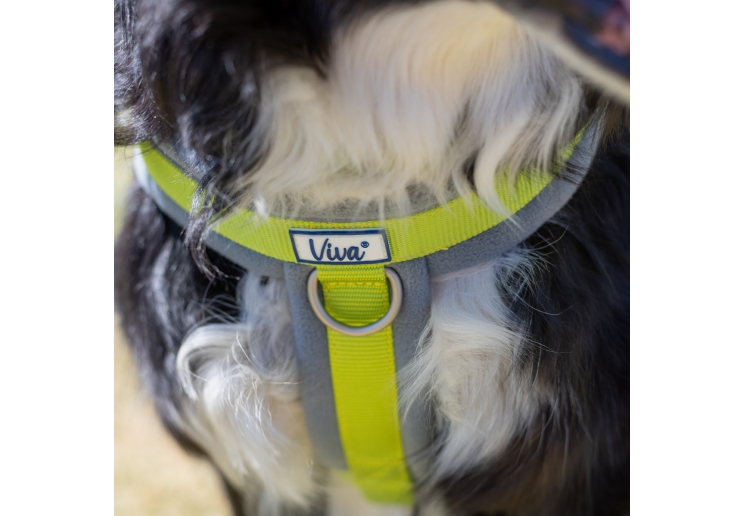 Viva Padded Harness Lime S 36-42cm