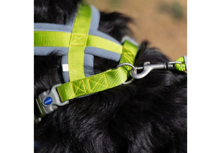 Viva Padded Harness Lime S 36-42cm