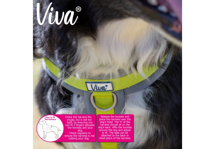 Viva Padded Harness Purple S 36-42cm