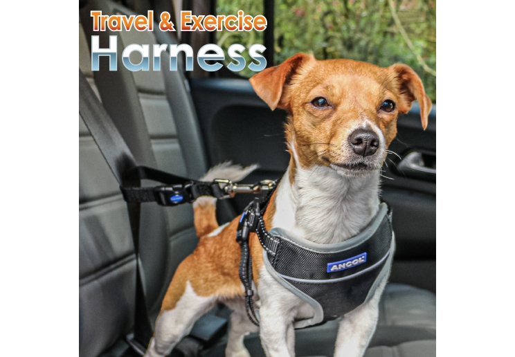 Travel Dog Harness Black S 37-58cm