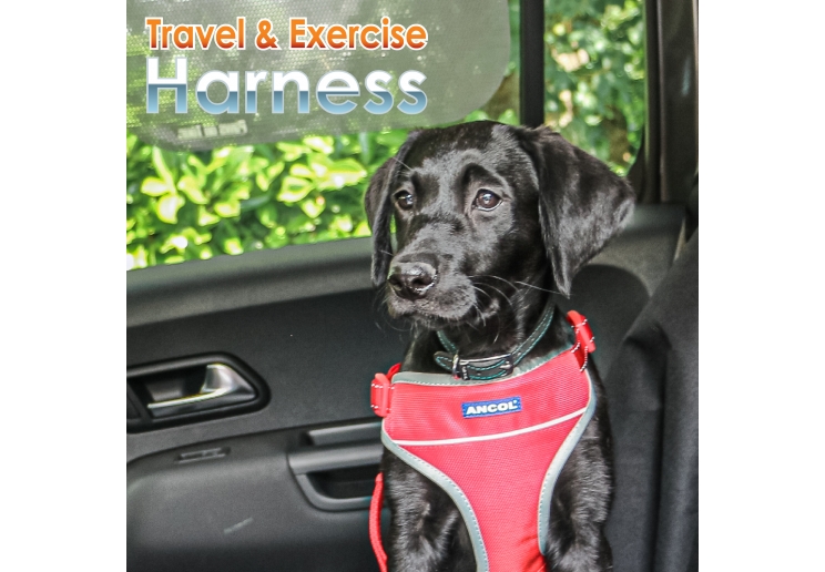 Travel Dog Harness Red S 37-58cm