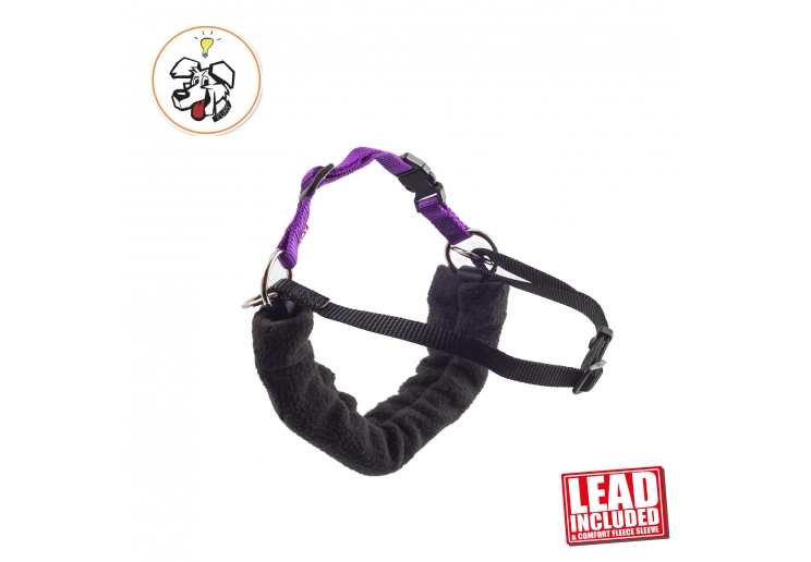 PDL Harness and Lead S 44-54cm