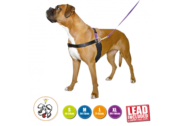 PDL Harness and Lead S 44-54cm