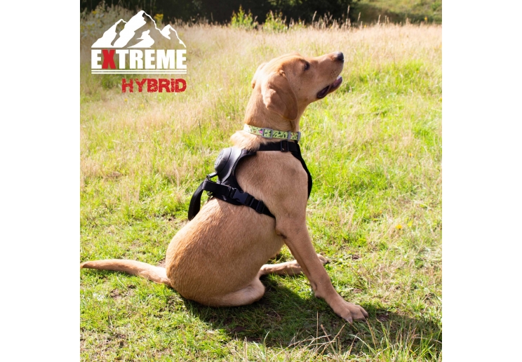 Extreme Hybrid Harness Tactical Black M