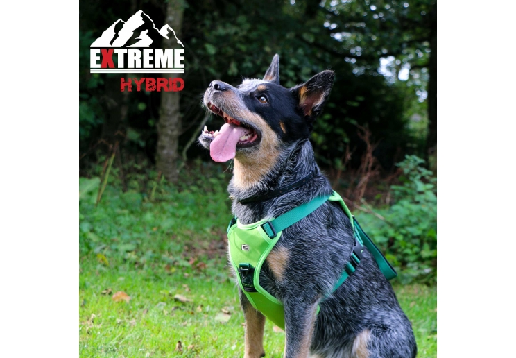 Extreme Hybrid Harness Field Green M