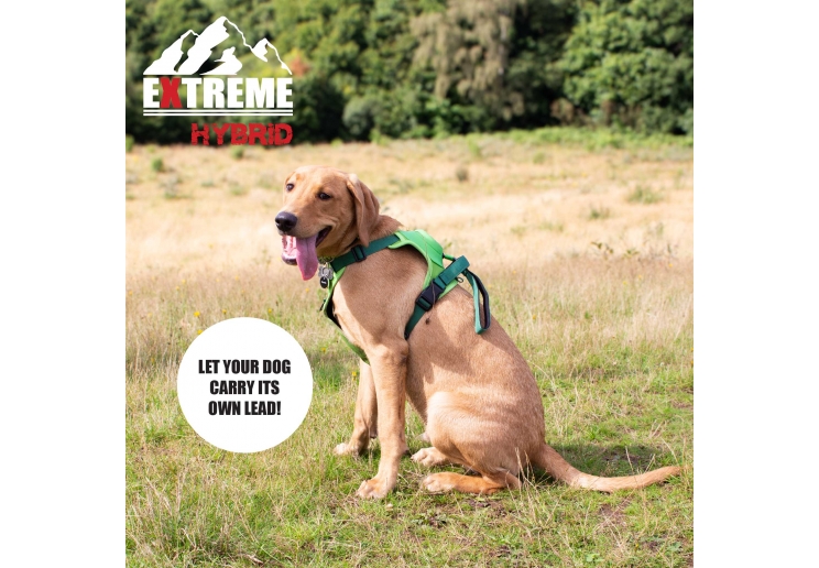 Extreme Hybrid Harness Field Green M