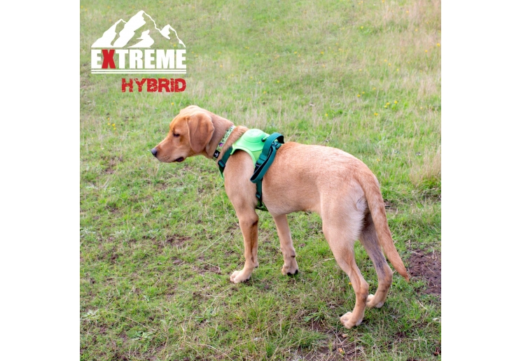 Extreme Hybrid Harness Field Green M