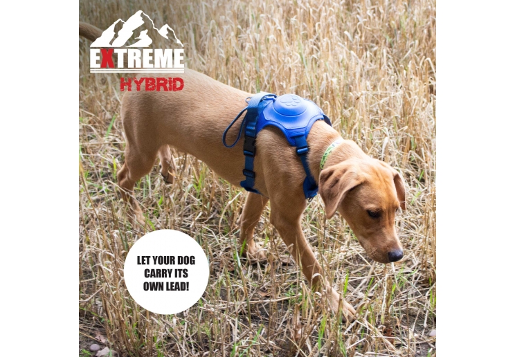 Extreme Hybrid Harness Aqua Blue M