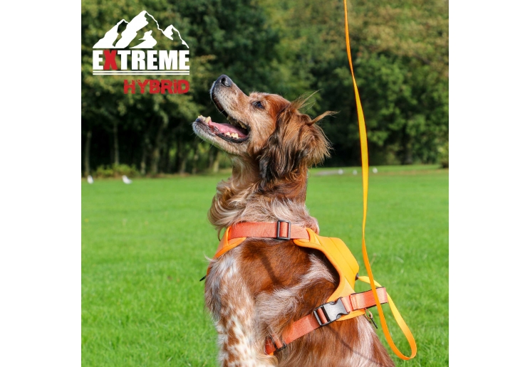 Extreme Hybrid Harness Hazard Orange M