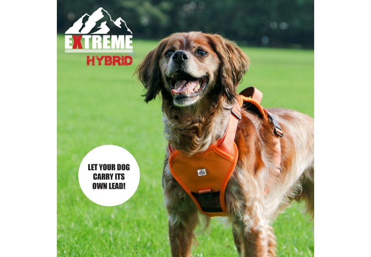 Extreme Hybrid Harness Hazard Orange M