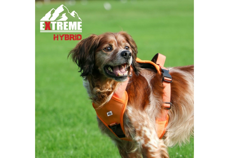 Extreme Hybrid Harness Hazard Orange M