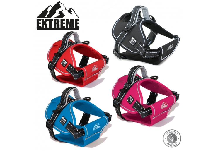 Extreme Harness Black S 51-67cm