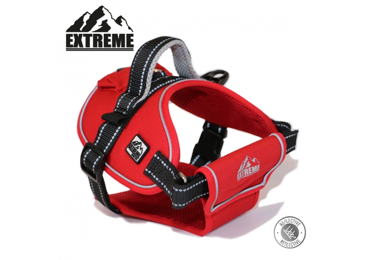 Extreme Harness Red M 68-86cm