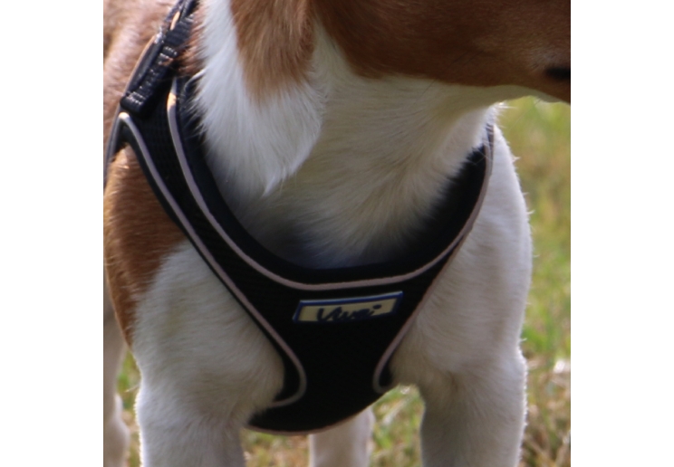 Viva Comfort Dog Harness Black XS 28-40cm