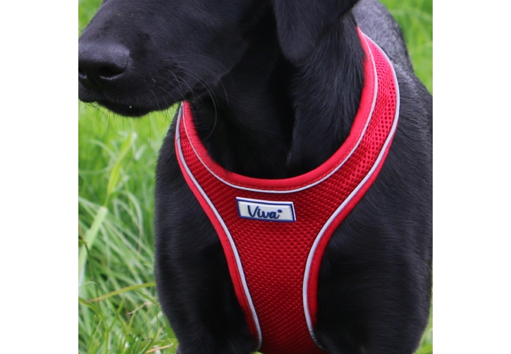 Viva Comfort Dog Harness Red M 44-57cm