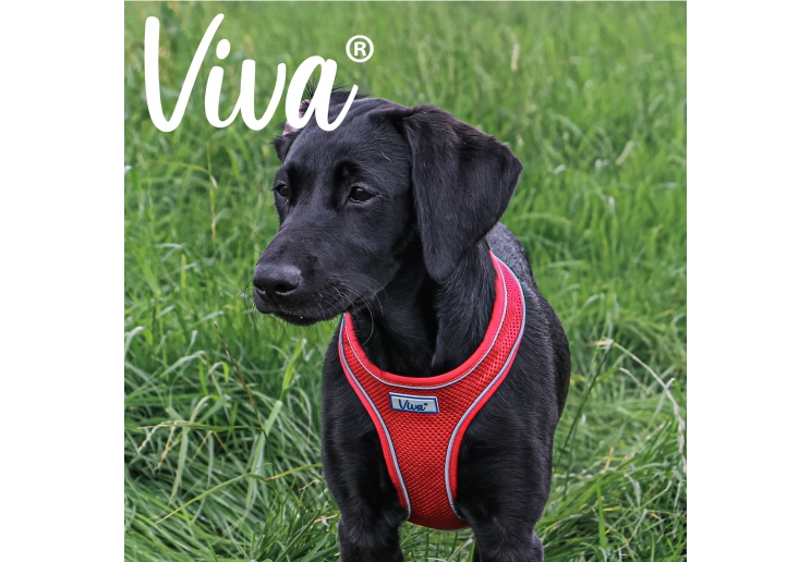 Viva Comfort Dog Harness Red L 53-74cm