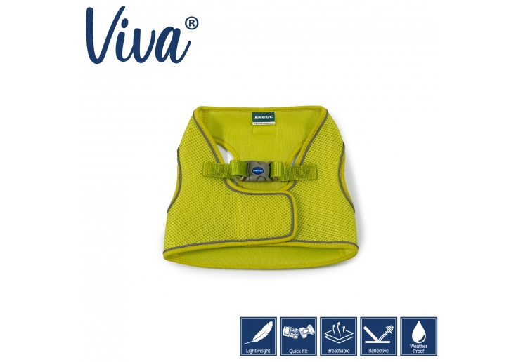 Viva Step-in Harness XL Lime 60-67cm