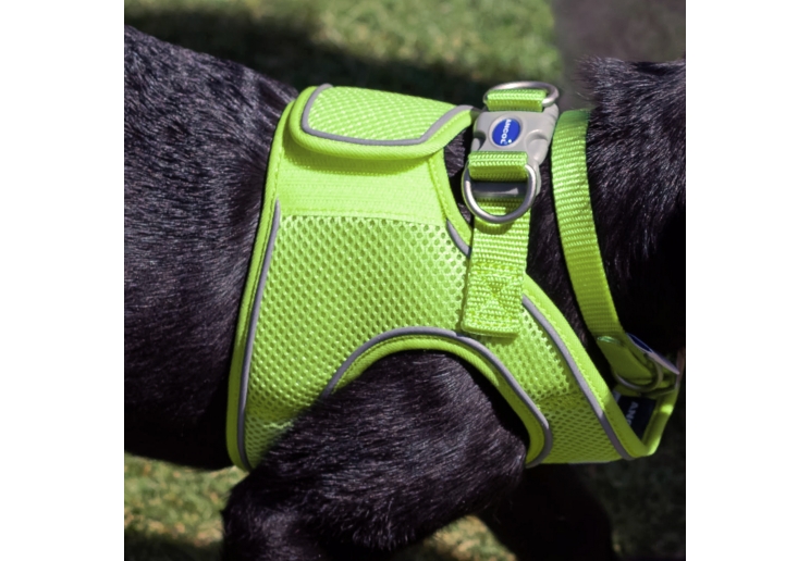 Viva Step-in Harness XL Lime 60-67cm