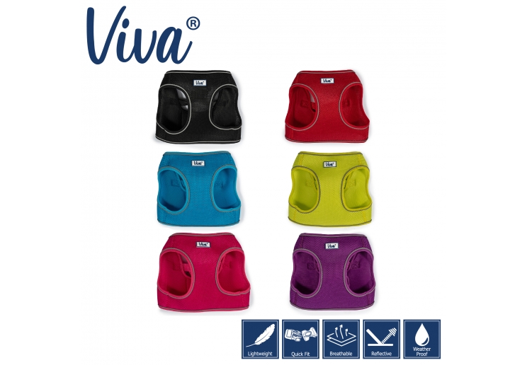 Viva Step-in Harness S Black 35-42cm