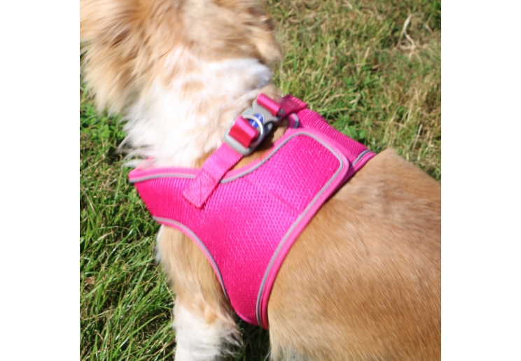 Viva Step-in Harness Pink M 46-54cm