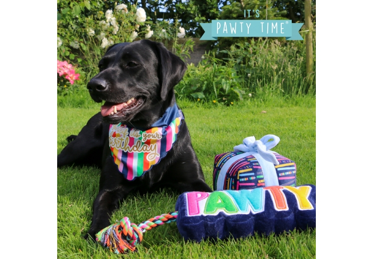 Pawty Bandanna