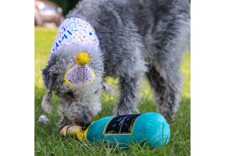 Pawty Sprinkle Hat with Bandana Set M/L