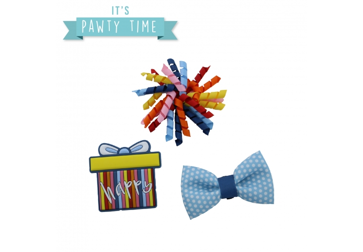 Pawty Stripe Present Accessory Set