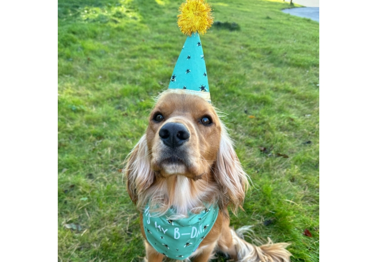 B-Day Hat & Bandana Set