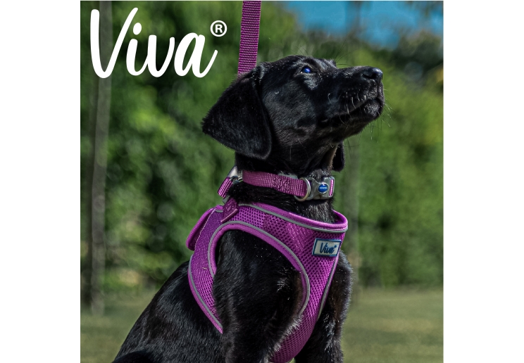 Viva Adjustable Collar Black 20-30cm Size 1-2