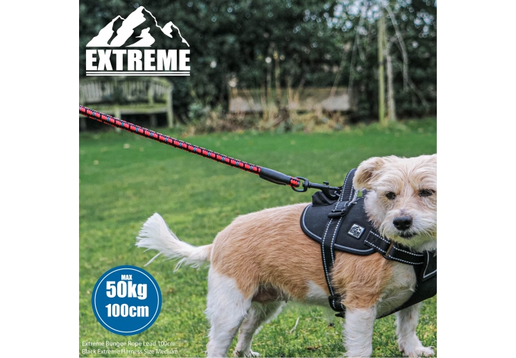 Extreme Shock Absorb Rope Lead Black/Red