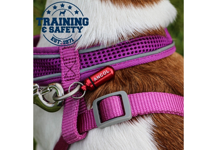 Aluminium Dog ID Tube