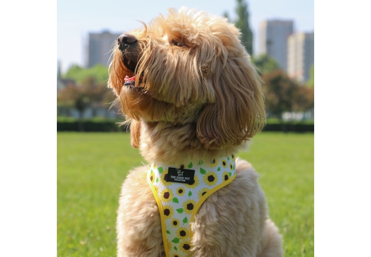 Soho Pet Collection Sunflower Yellow Check Reversible Harness