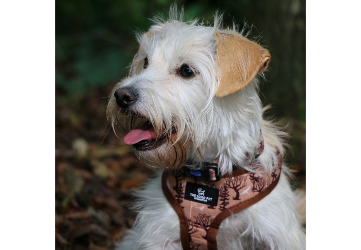 Maple Leaf/Woodland Reversible Harness M