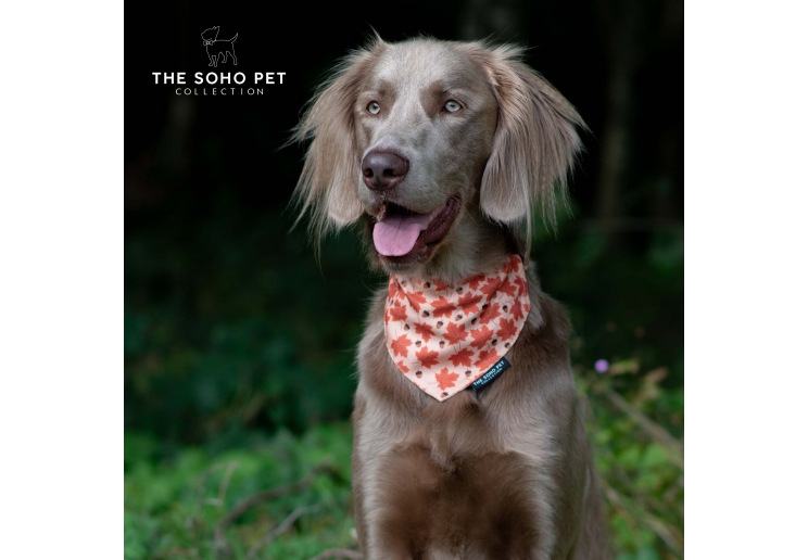 Maple Leaf/Woodland Patterned Bandana (2 per pack)