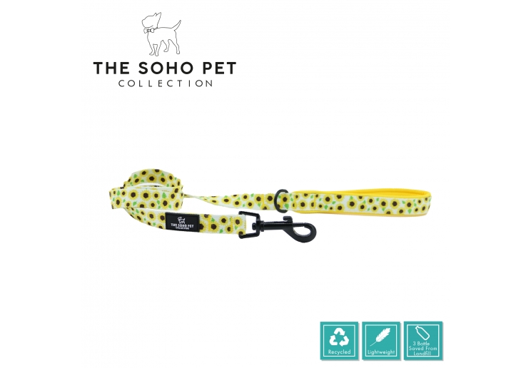 Soho Pet Collection Sunflower Lead