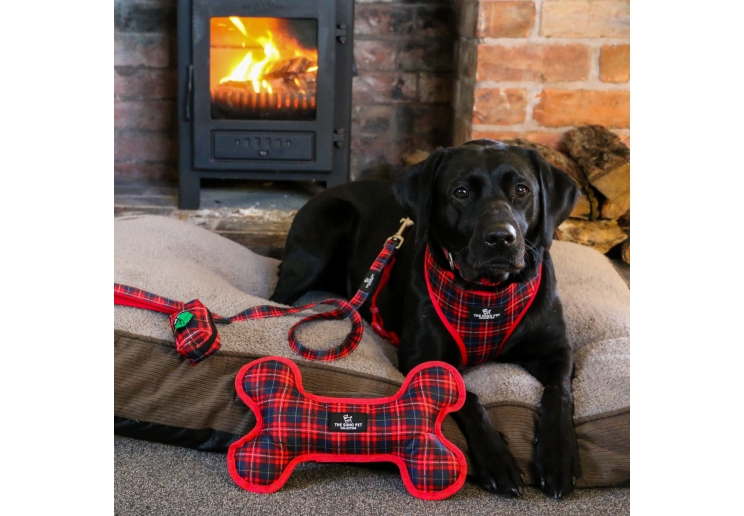 Tartan/Star Patterned Reversible Bone Toy