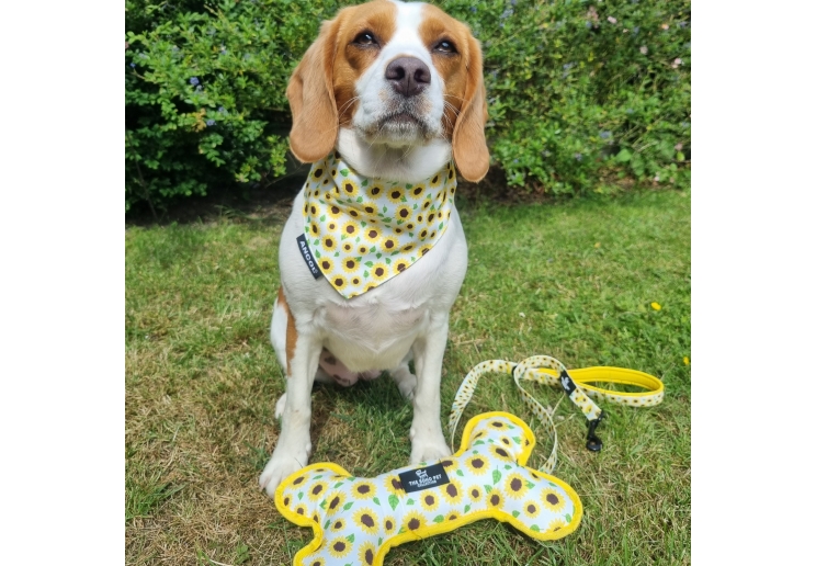 Sunflower/Yellow Patterned Reversible Bone Toy