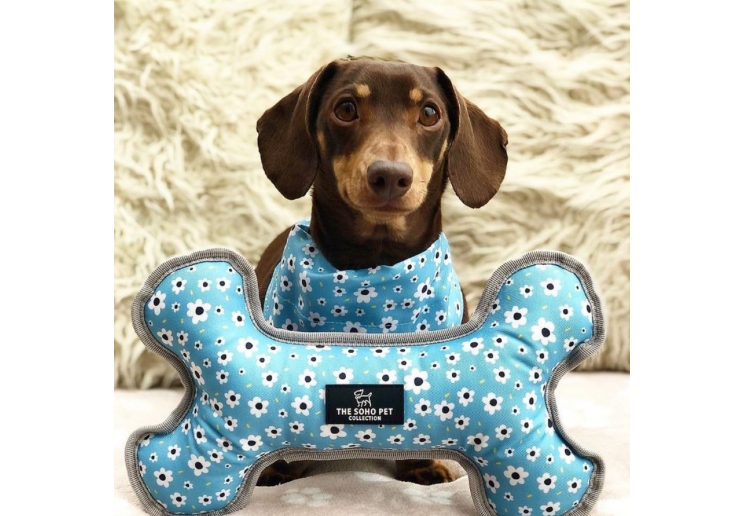 Daisy/Polka Patterned Reversible Bone Toy