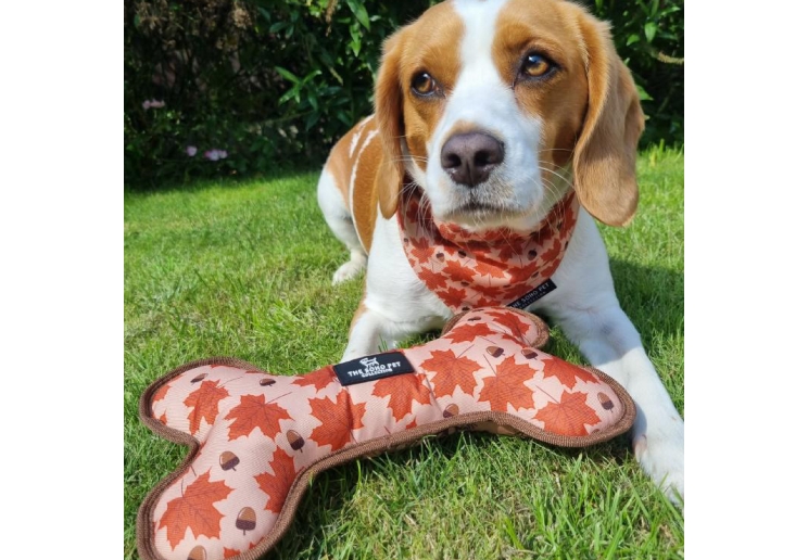 Maple Leaf/Woodland Patterned Reversible Bone Toy