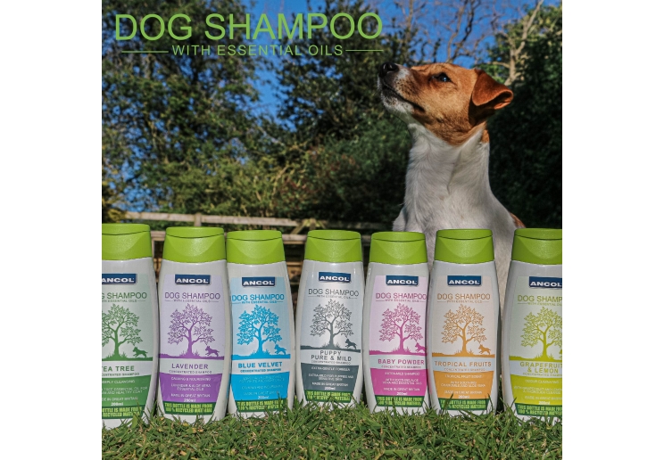 Dog Shampoo Tropical Fruits 200ml