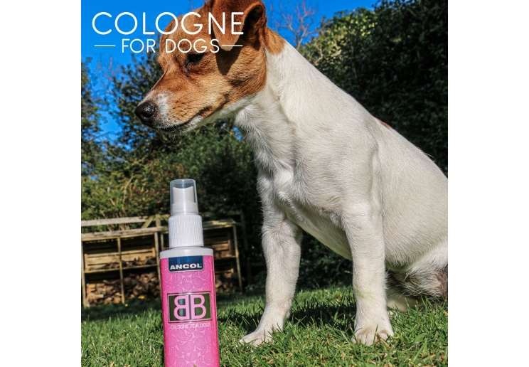 Dog Cologne BB 100ml