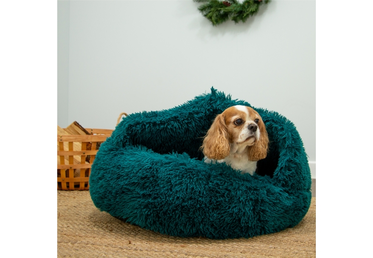 Plush Cove Bed Teal