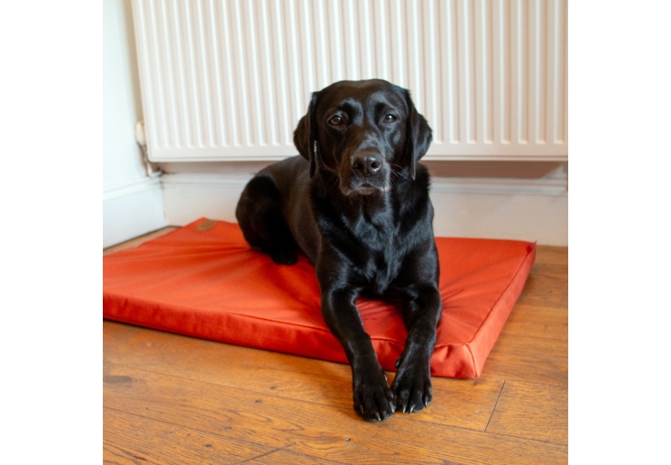 Nest of 5 Waterproof Pad Beds Orange