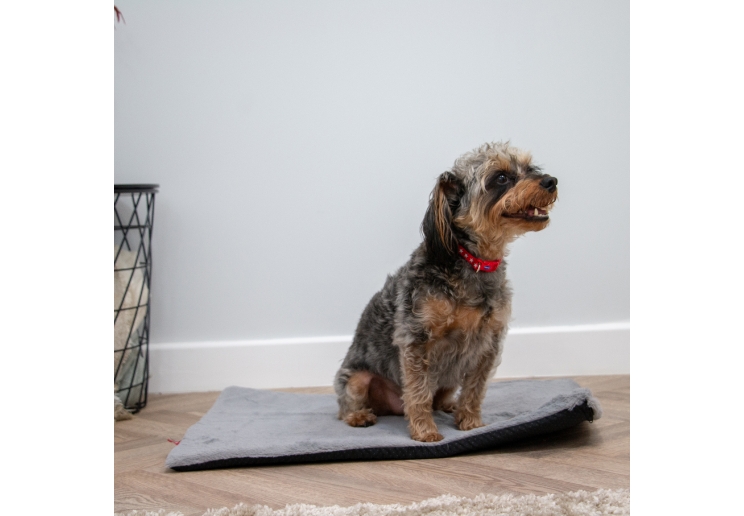 Sleepy Paws Flat Pad 61x46cm Grey