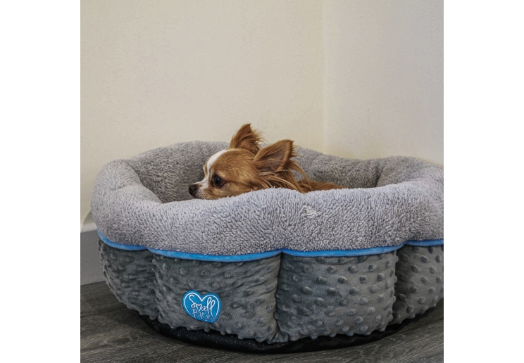 Small Bite Donut Bed 50cmX50cm Blue