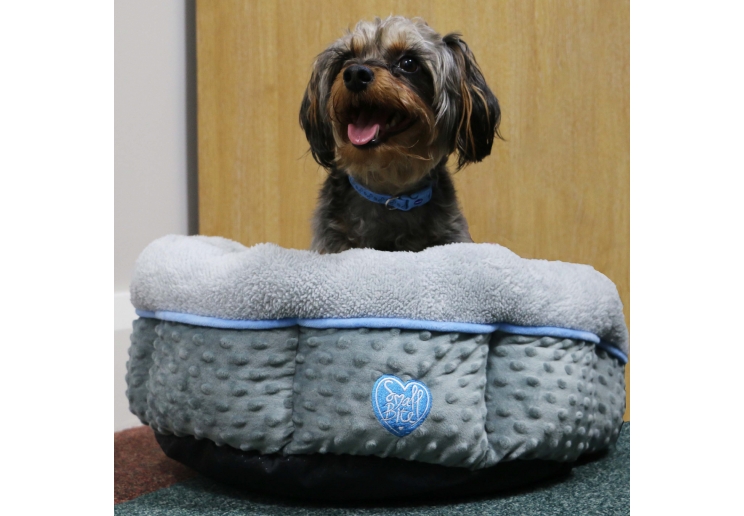 Small Bite Donut Bed 50cmX50cm Blue