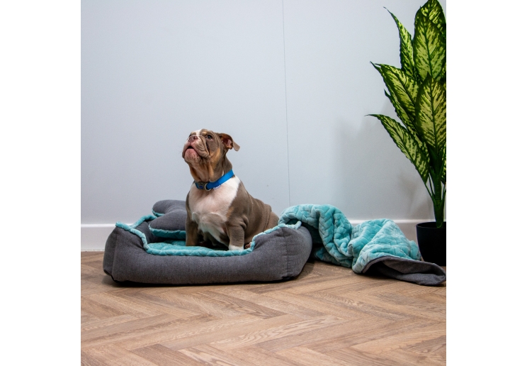 Made From Dog Bed Set 60x50xm Blue Teal