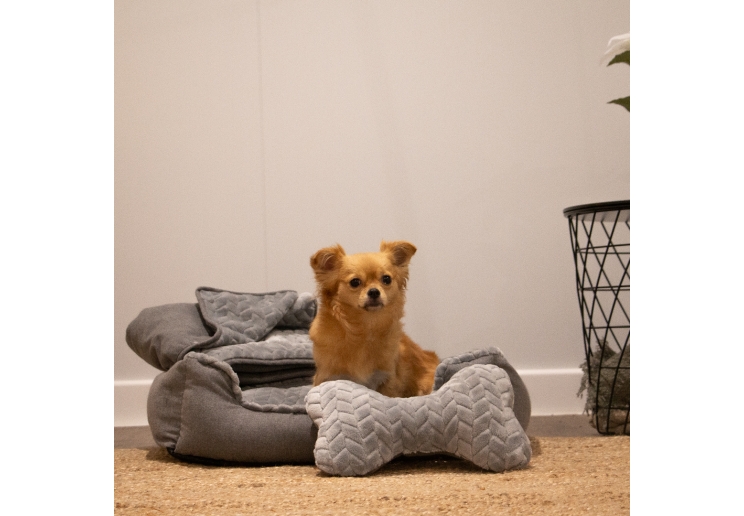 Made From Dog Bed Set 60x50xm Grey