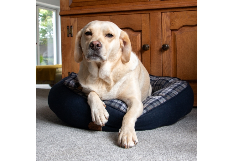 Blue and Grey Tartan Donut Bed 70cm